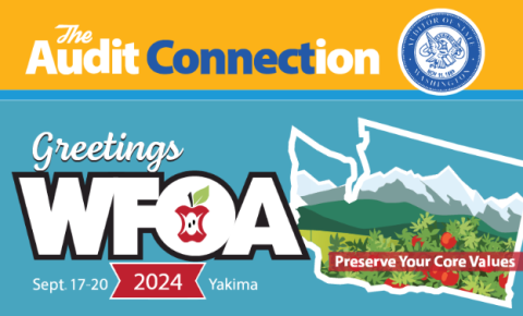 The Audit Connection: Greetings from WFOA 2024